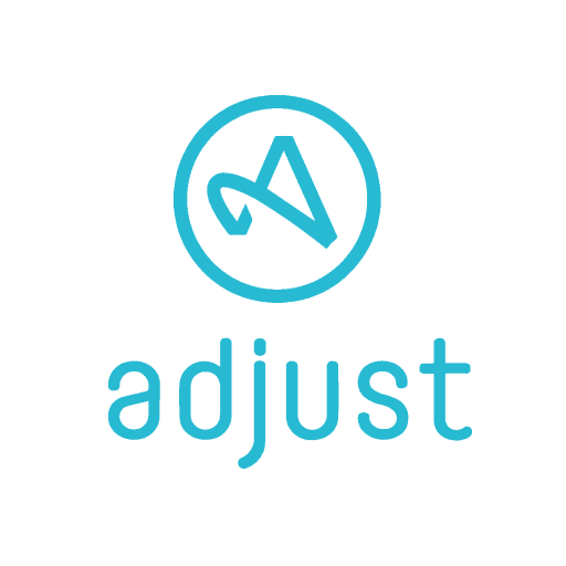 Adjust access